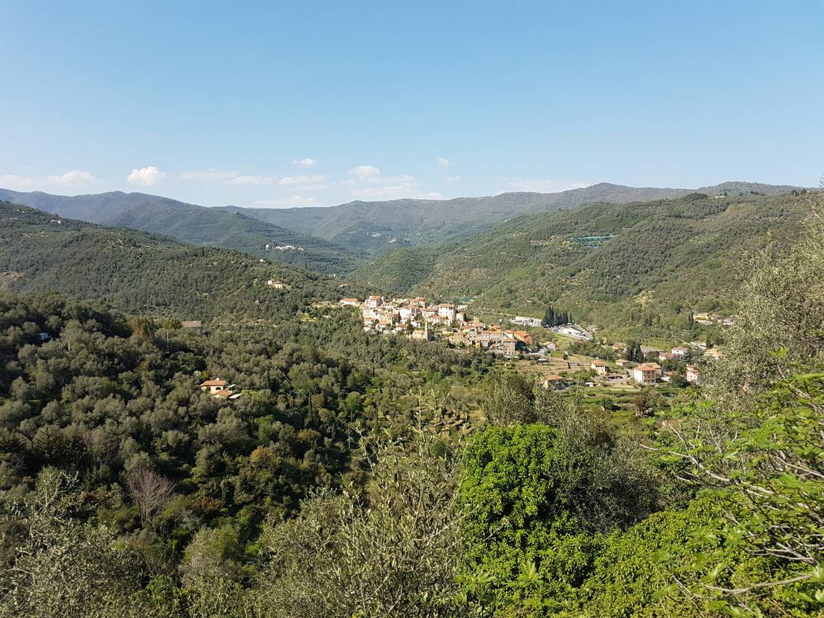 A hillside village seen across the valley near Dolcedo, Liguria