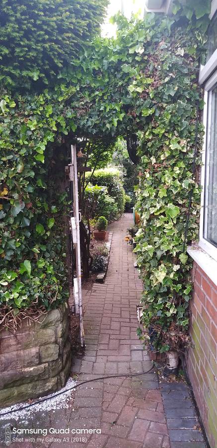 An ivy-covered archway beside the Leeds-Liverpool canal